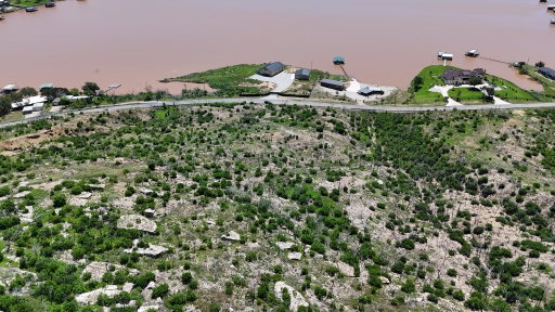 Media Image 2