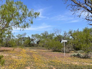 Media Image 2