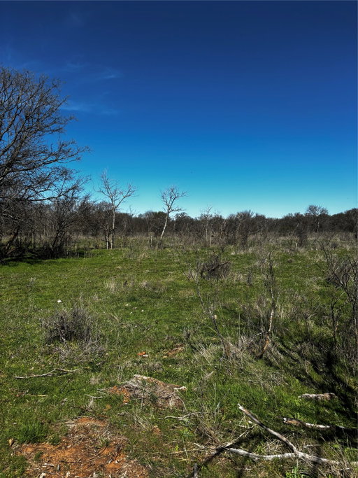 Media Image 3