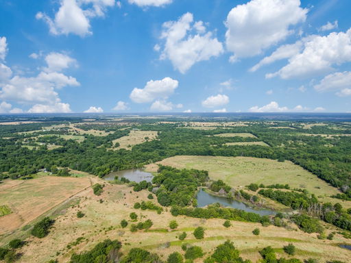 Media Image 3