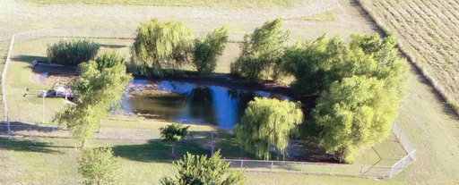 Media Image 3