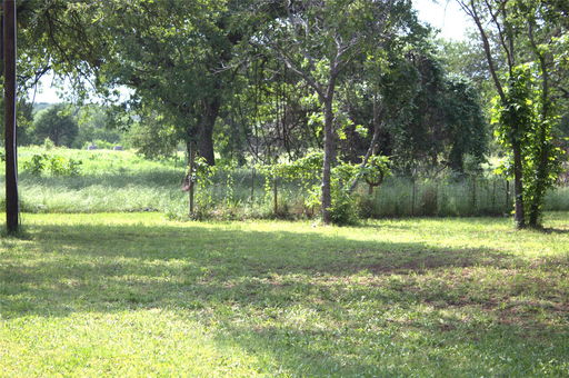 Media Image 3