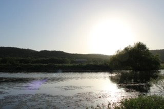 Media Image 2