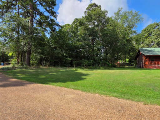 Media Image 3