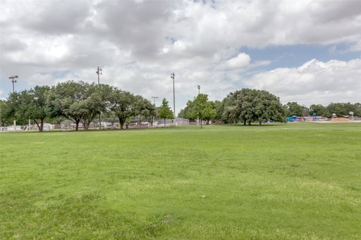 Media Image 2