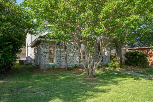 Media Image 2