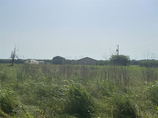 Media Image 2