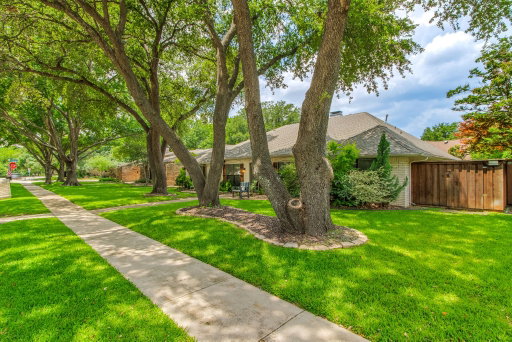 Media Image 3