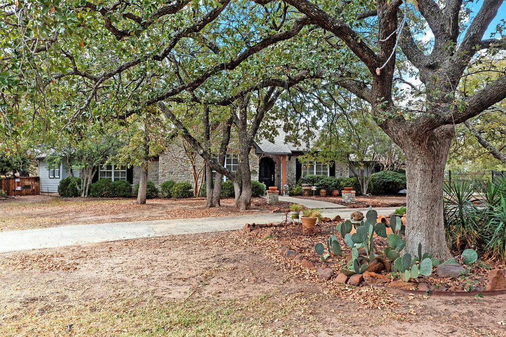 Media Image 1