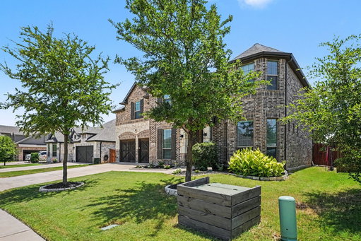 Media Image 3
