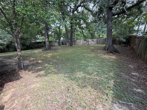 Media Image 3