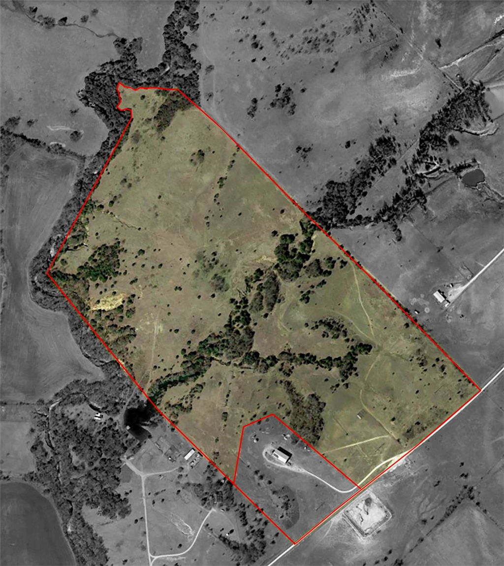 Media Image 1