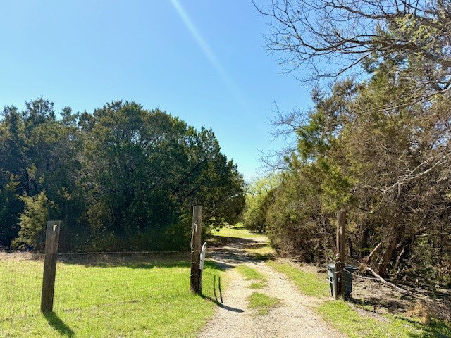 Media Image 1