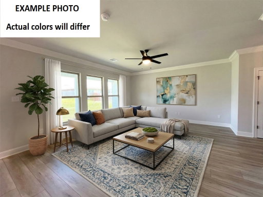 Media Image 2