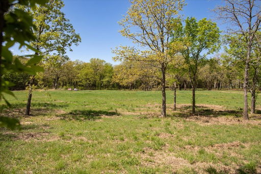 Media Image 3