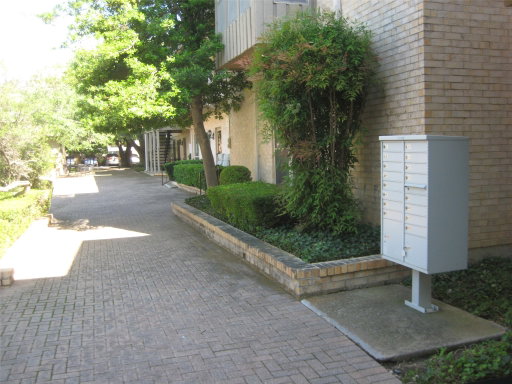 Media Image 3