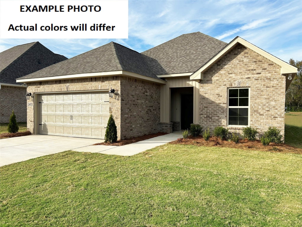 Media Image 1