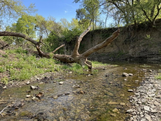 Media Image 2
