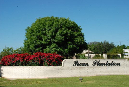 Media Image 1