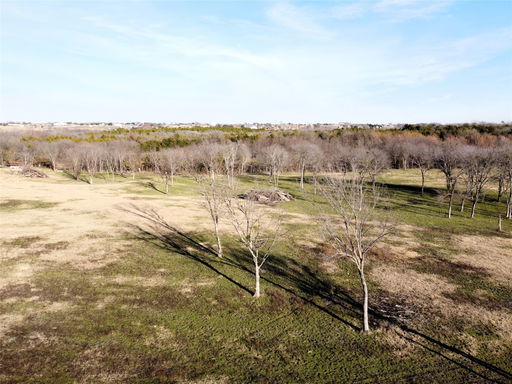Media Image 3