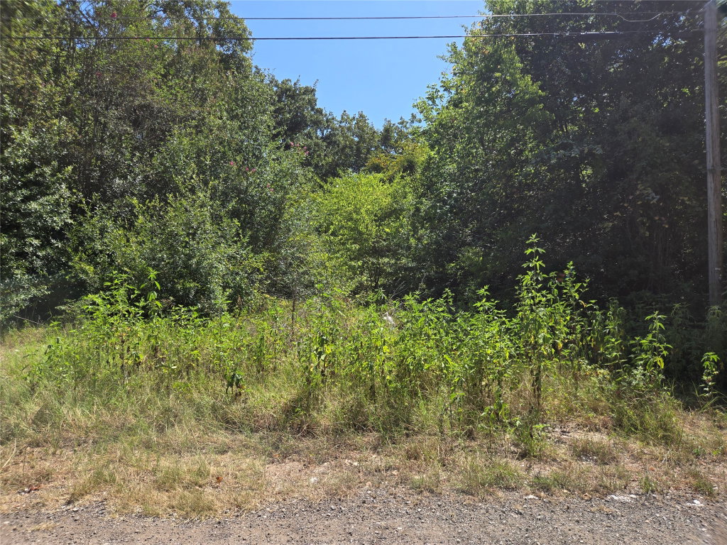 Image Unavailable