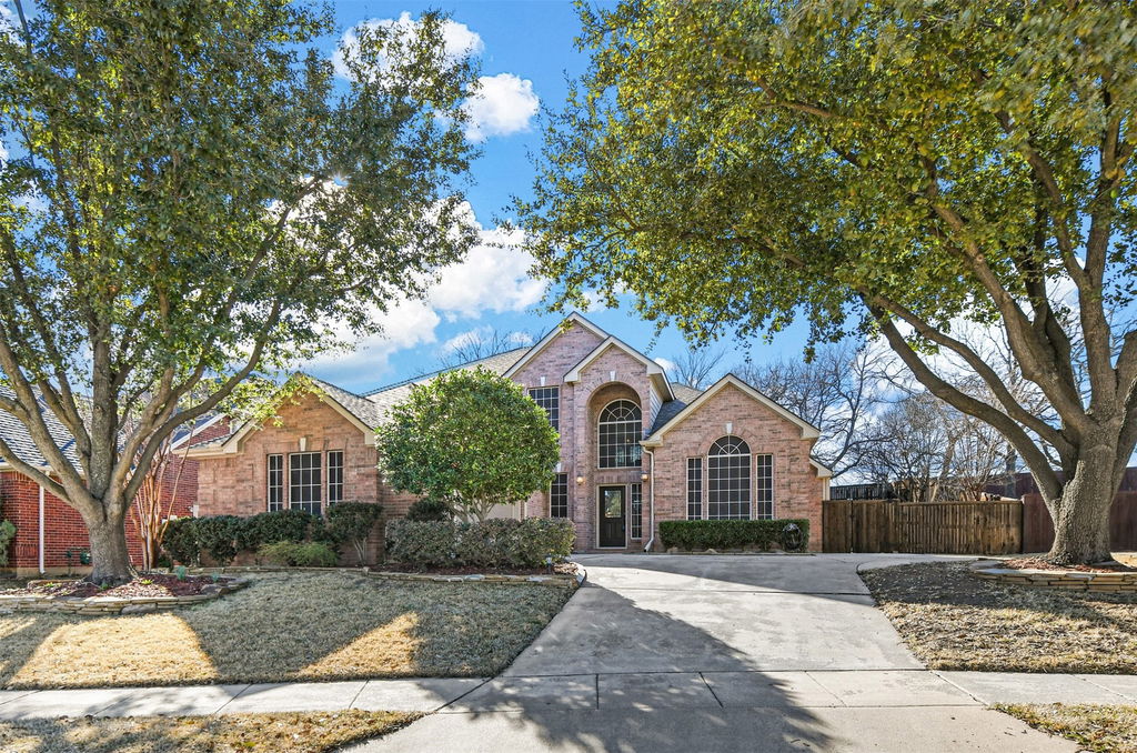 Media Image 1