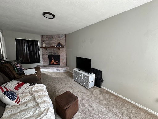 Media Image 3