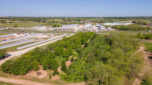 Media Image 3