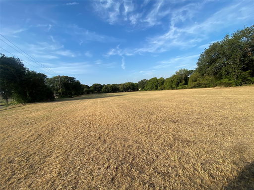 Media Image 3