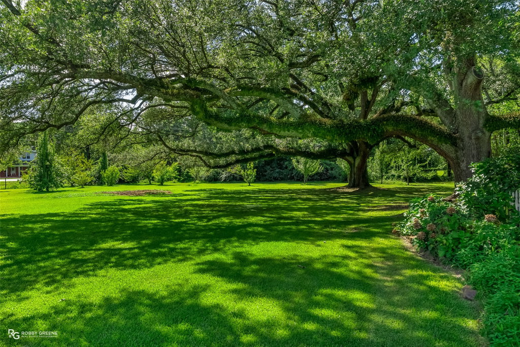 Image Unavailable