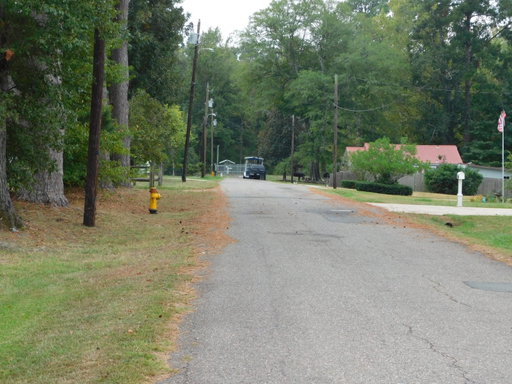 Media Image 3