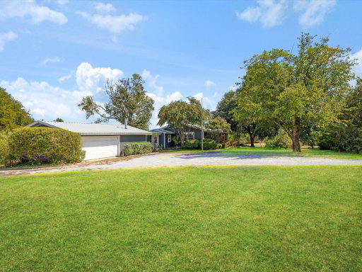 Media Image 3