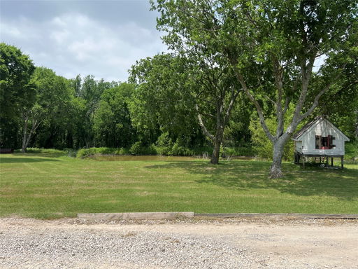 Media Image 3