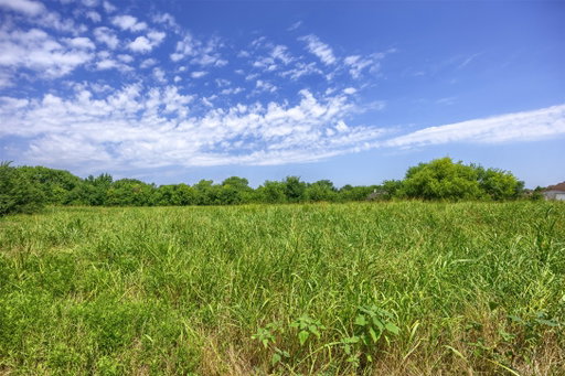 Media Image 3