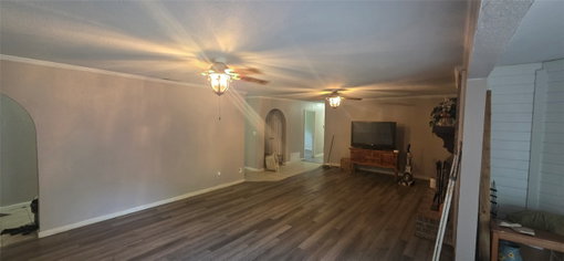 Media Image 3
