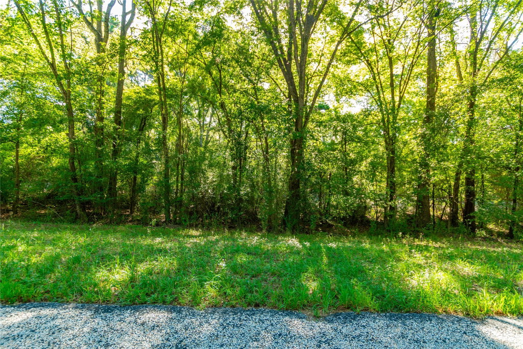 Image Unavailable