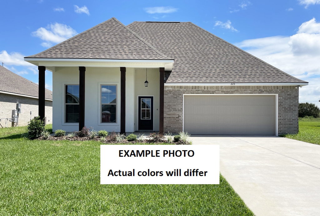 Media Image 1