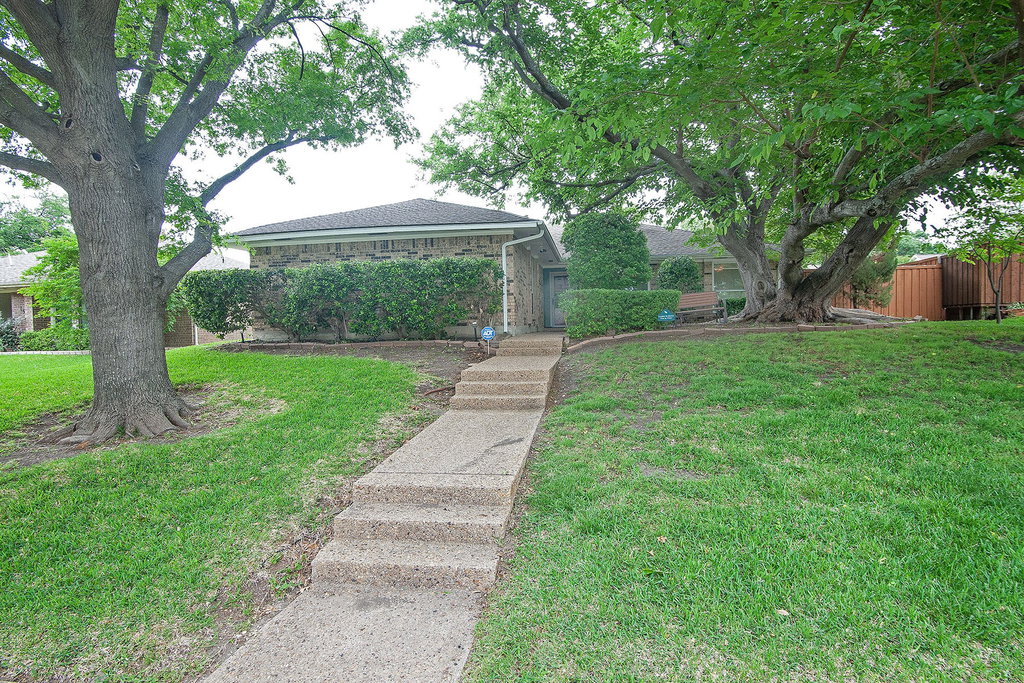 Media Image 1