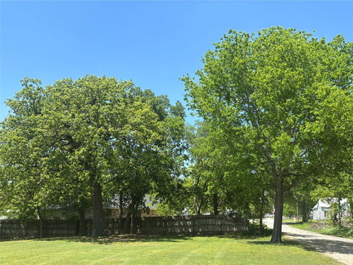 Media Image 2