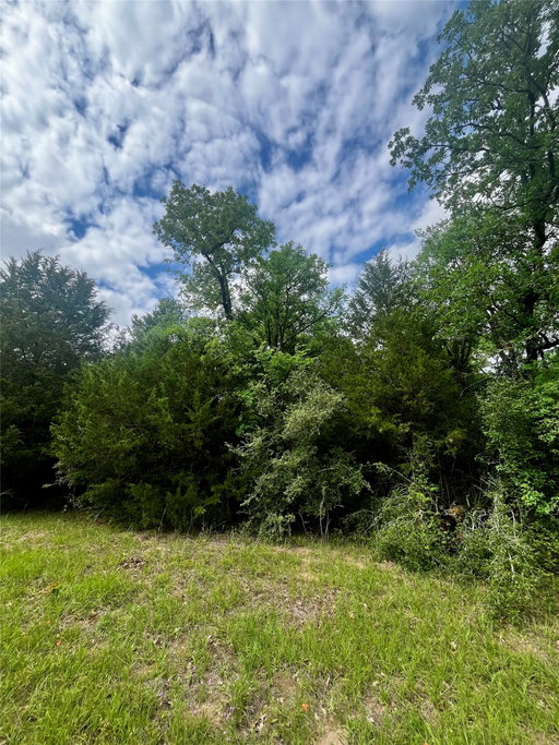 Media Image 3