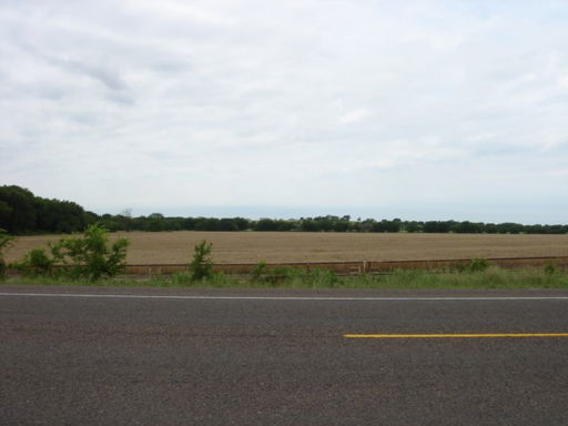 Media Image 3