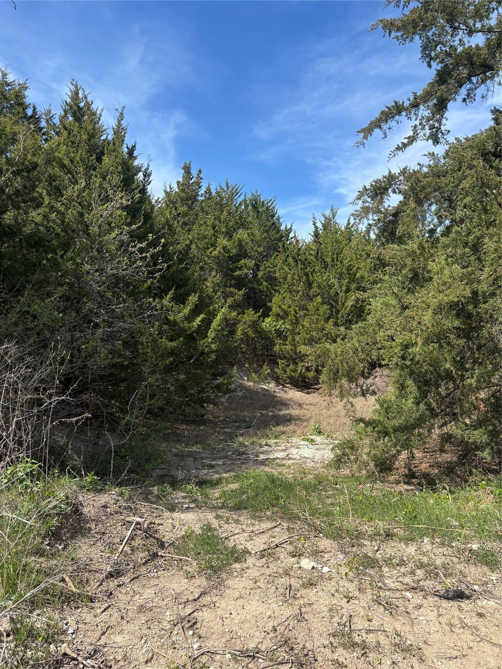 Image Unavailable