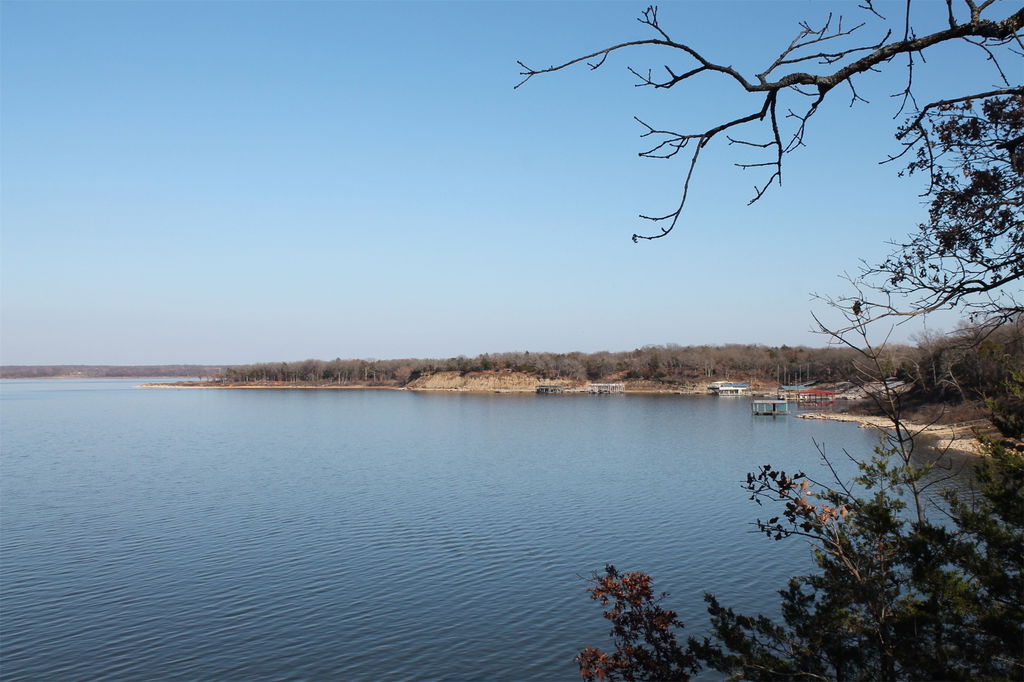 Media Image 1