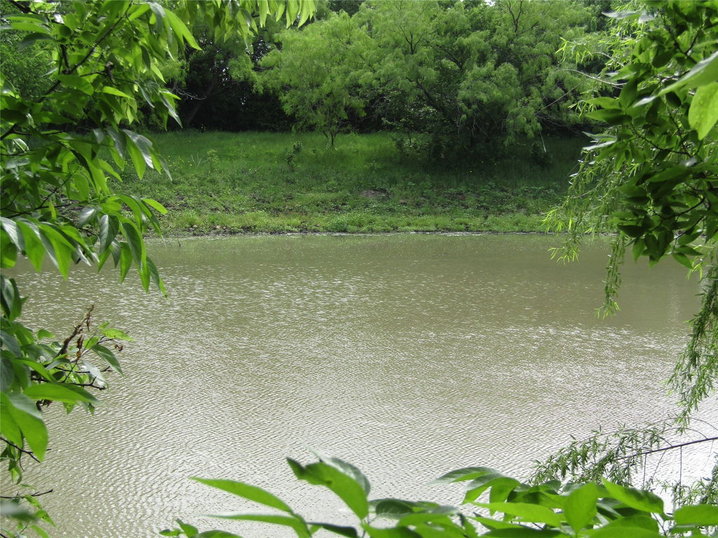 Image Unavailable