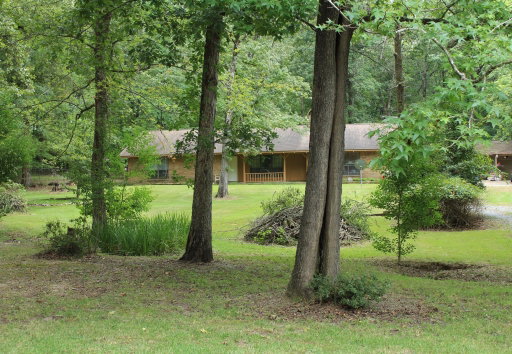 Media Image 3