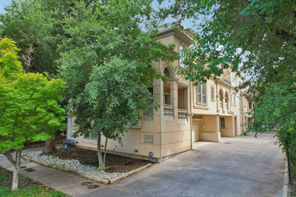 Media Image 1