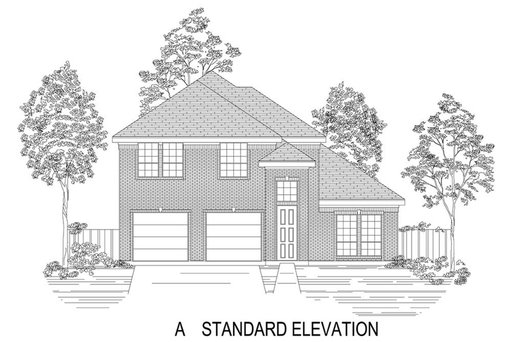 Media Image 3