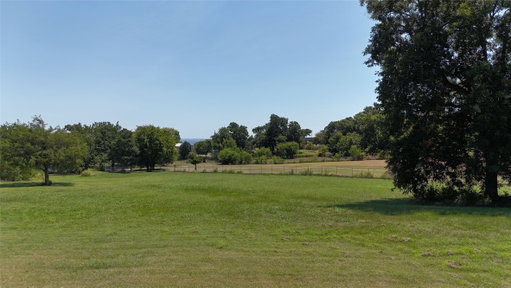 Media Image 2