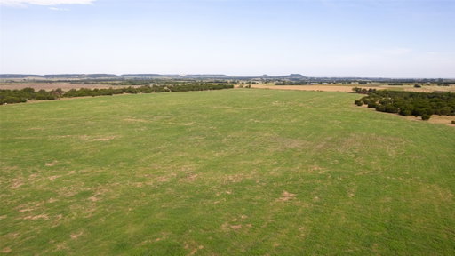 Media Image 2