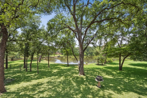 Media Image 2